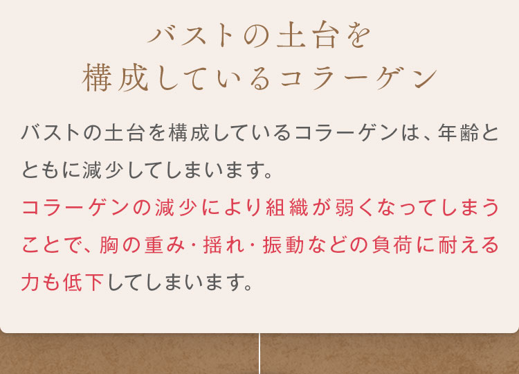 バストの土台を構成しているコラーゲン