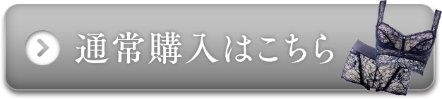 通常購入はこちら