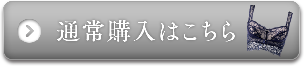 通常購入はこちら